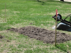 Digging up grass takes a long time, or I just have a short attention span